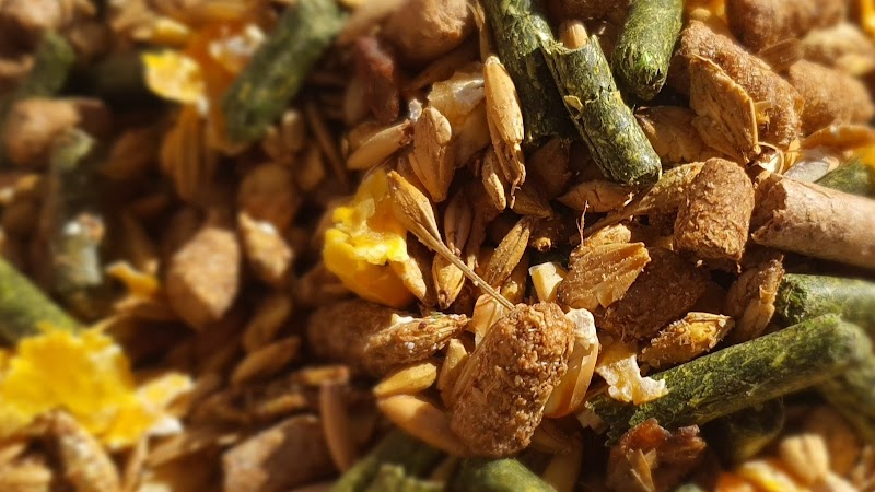 MIX Feed Company | Dubaï