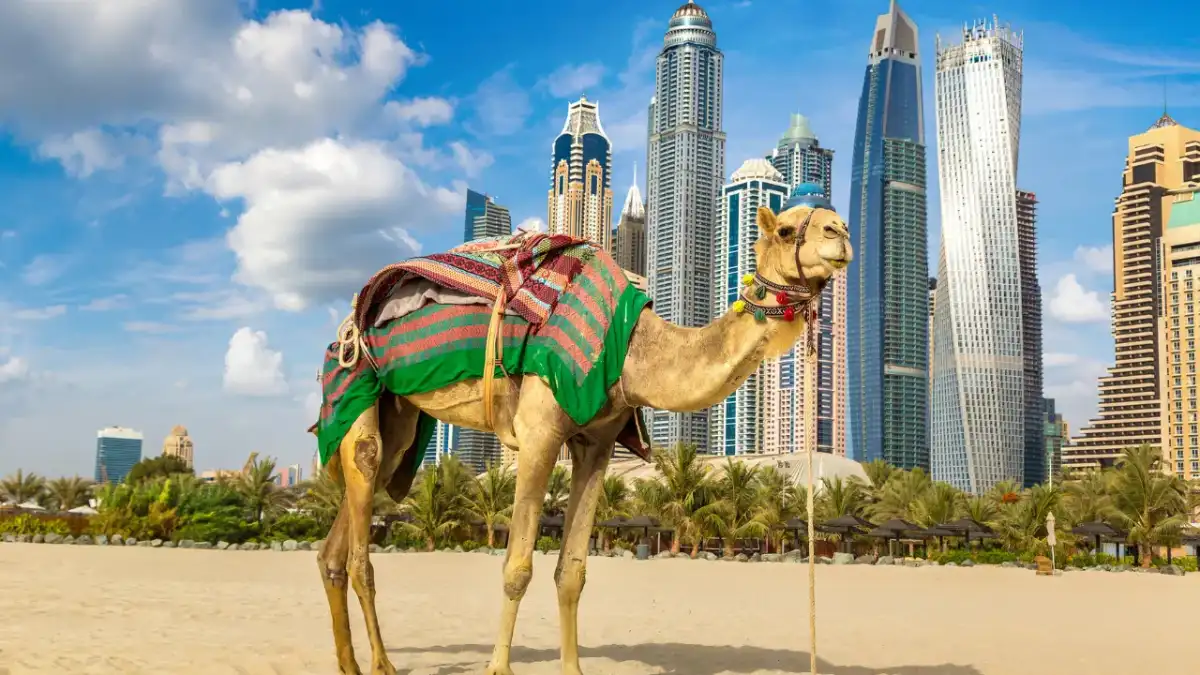 Examen de la situation de la destination à Dubaï
